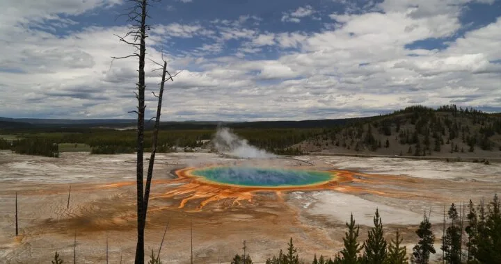 🌋 Yellowstone National Park: A Journey Into Nature’s Greatest Wonders 🏞️